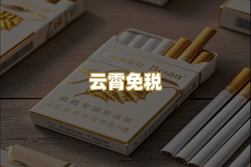 云霄免税